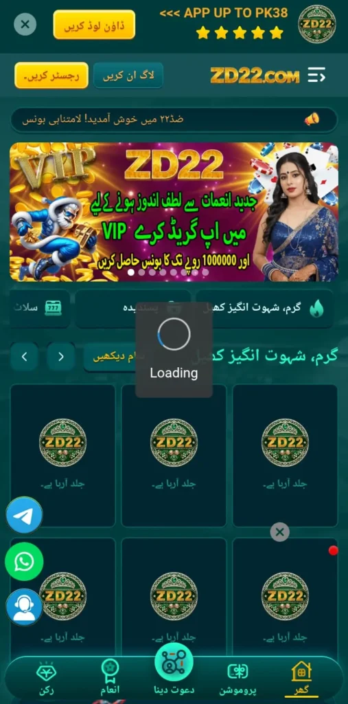 zd22 game
