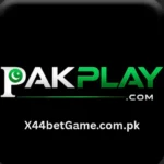 pakplay game
